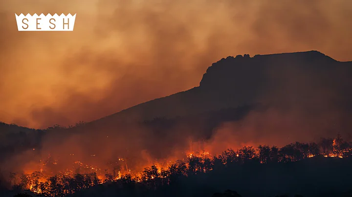 Chris Travis & Bones - ForestFires | SLOWED TO PERFECTION | Forest Fires