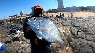 Fishing For Edibles - Big Silver Bream in Toti