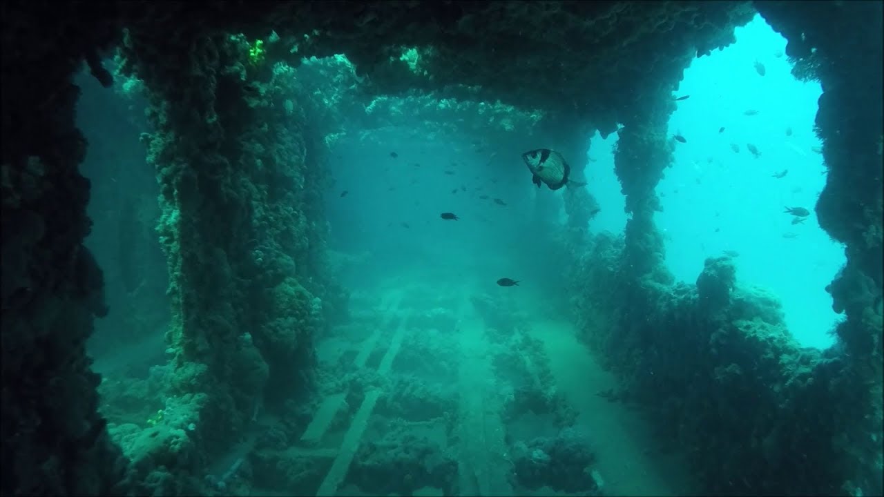 Diving Croatia 2019 - Baron Gautsch - Titanic of the Adriatic Sea