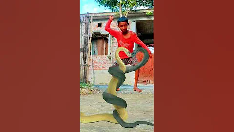 Nagin viral video snake 🐍 Kinemaster Editing Nurul #shorts #youtubeshorts #shortsfeed