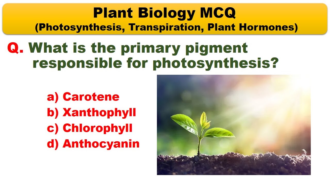 "Plant Biology MCQ | Photosynthesis, Transpiration & Plant Hormones | Science GK Quiz for Exams"