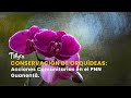 Conservación de Orquídeas: Acciones Comunitarias en el PNN Guanentá - TvAgro por Juan Gonzalo Angel