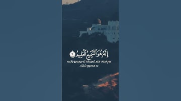 آيات بينات من الذكر الحكيم 🌺