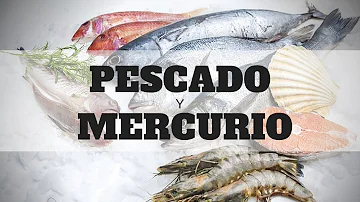 ¿Qué tipo de pescado contiene más mercurio?