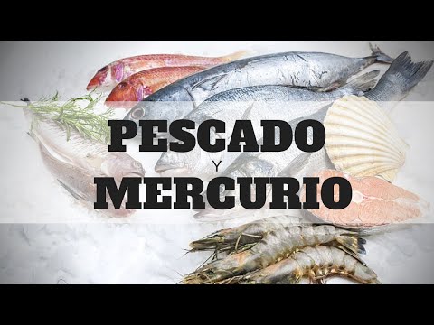Video: ¿El salmón de piscifactoría tiene un alto contenido de mercurio?