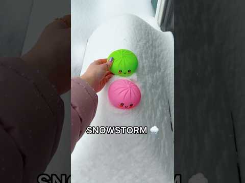 RÉSULTATS J AI LAISSÉ MES BOULES ANTI STRESS EN FORME DE RAVIOLES DANS UNE TEMPÊTE DE NEIGE PEN 
