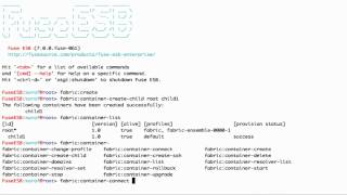 Creating child containers with Fabric