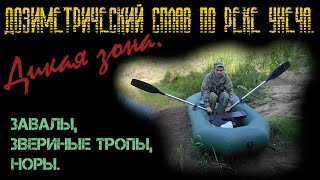 Дозиметрический сплав по реке Унеча. Завалы, звериные тропы, норы. Дикая зона.