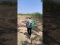 Culture toh agriculture hai🫡 #trending #minivlog