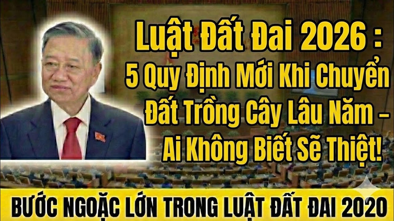 Luật Đất Đai 2026: 5 Quy Định Mới Khi Chuyển Đất Trồng Cây Lâu Năm – Ai Không Biết Sẽ Thiệt!