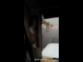 امطار وبرديه المدينة المنورة 2 11 1437