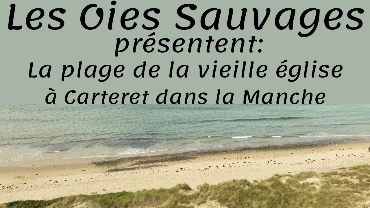 Carteret,  plage de la vieille église dans la Manche (50)