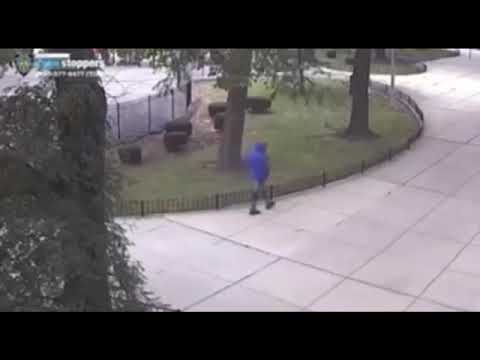 YouTube player