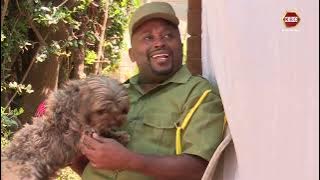 Vitimbi: Ole Matope ameng'atwa na German Shepherd