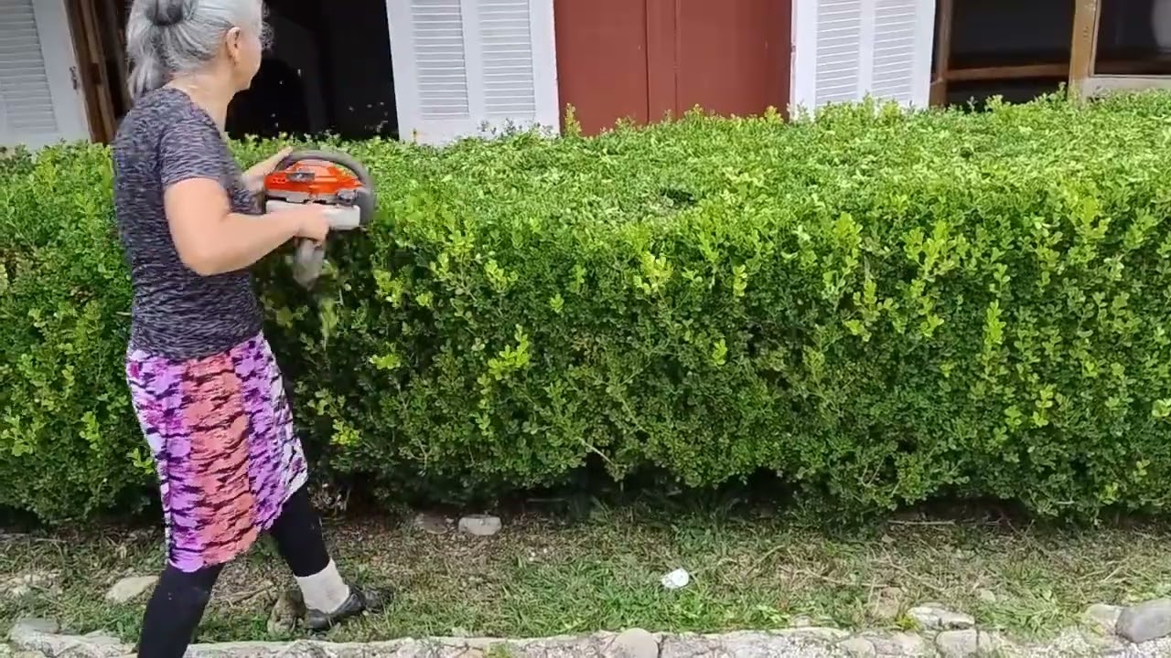 Hoje o serviço é diferente,no jardim aparando cerca viva.
