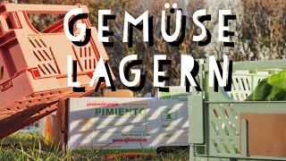 So Hält Das Gemüse Länger Frisch Pfötchenbande