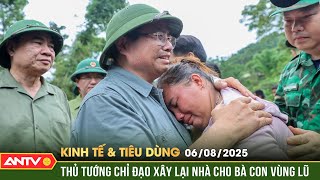Economic and consumer news August 6: Rebuilding houses for people in flood-hit areas in September...