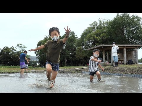 ＜動画deしずおか＋＞登呂遺跡で“泥だらけ”　弥生の復元水田を利用