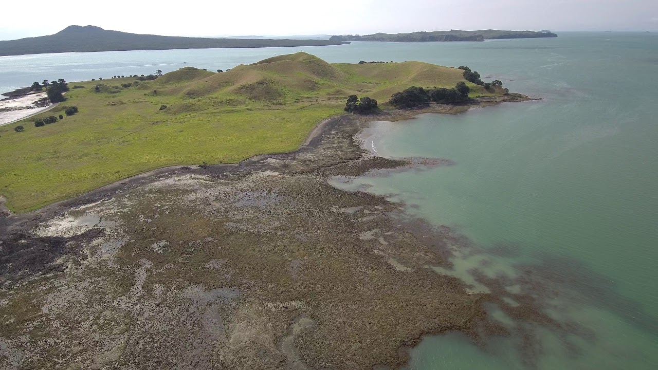 Musick Point - Xiaomi 4k - New Zealand