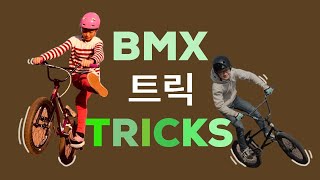 BMX? 너두 할수있어 / 재미있는 프리스타일 기술들을 소개합니다 [BMX라이더]