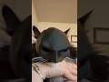 3D Printed BatCat!! Because I can! #idowhatiwant #unsupervised #3dprinting #batman thumbnail