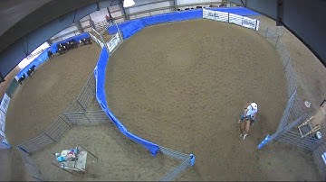 Big Sky Ranch Sorting Saddle Series #4 - #9 HC SORT - Round #2 - Ride #10