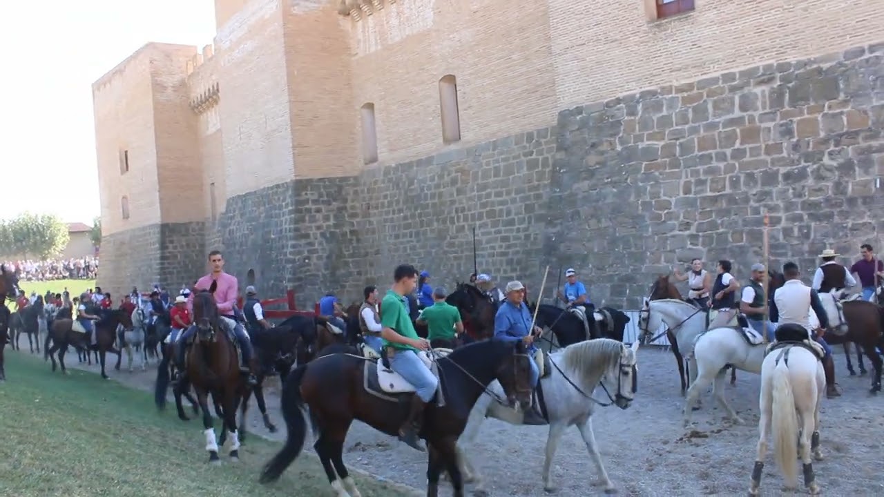 TRASHUMANCIA EN CASTILLO DE MARCILLA (NAVARRA)
