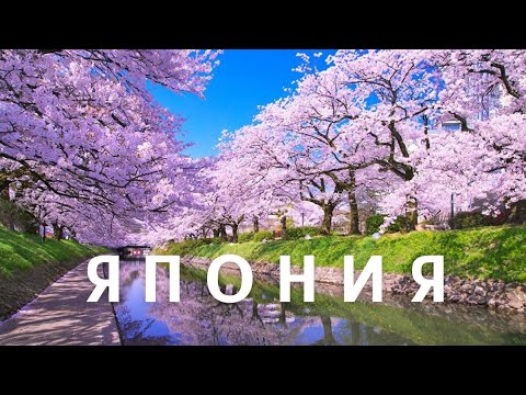 ЯПОНИЯ | СТРАНА ВОСХОДЯЩЕГО СОЛНЦА | ИНТЕРЕСНЫЕ ФАКТЫ