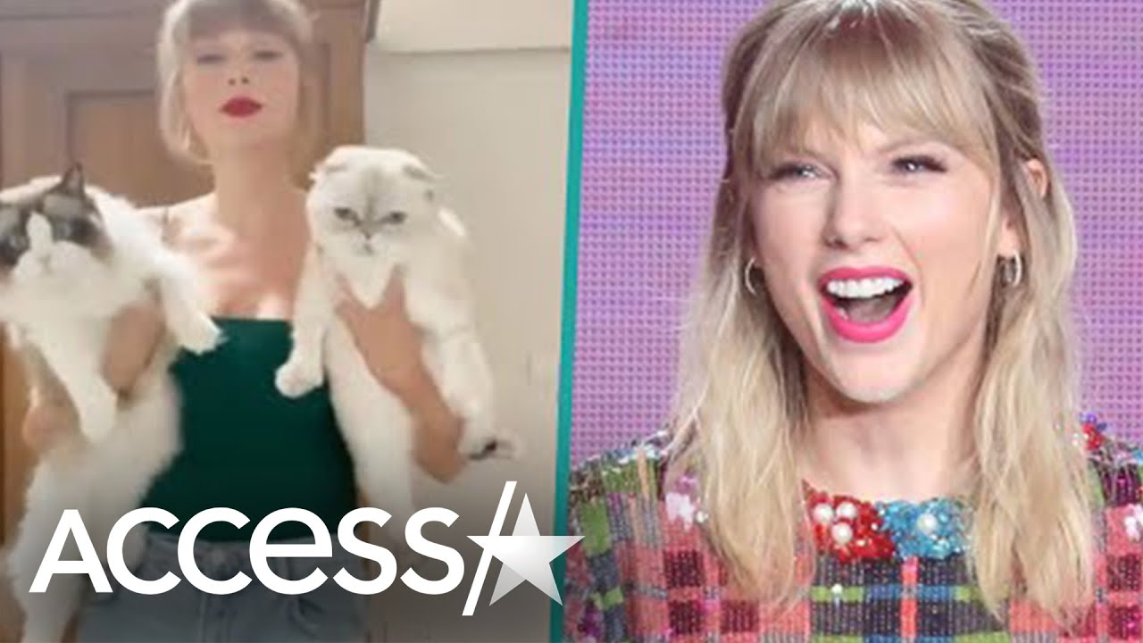 Taylor Swift Pokes Fun At Herself For Being a Cat Lady In Hilarious TikTok Video