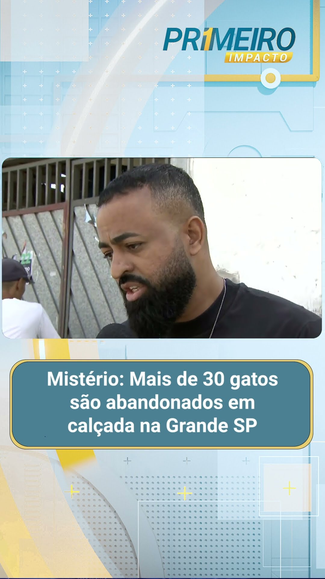 Mistério: Mais de 30 gatos são abandonados em calçada na Grande SP