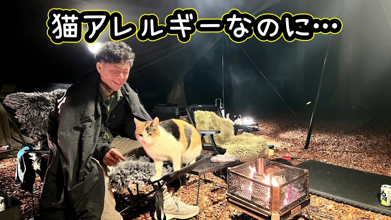 【初投稿】猫アレルギーのぼくが猫系YouTuberとキャンプしてたら、猫が居座った。