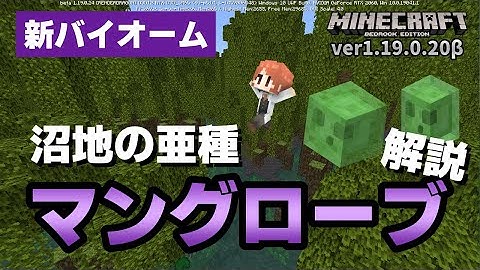 マングローブ探し Youtube