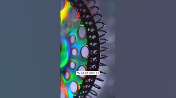 Macrophotography with Nikon Ambassador Joey Terrill