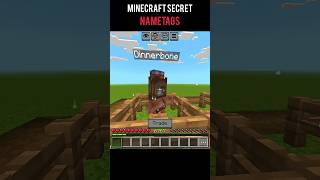 Minecraft Secret Nametags😱 #shorts #GamingShorts