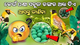 Secrets Exposed: Which Birds Lay Green Eggs?