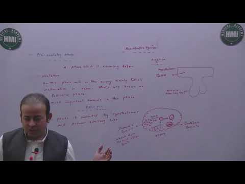 Reproductive system Menstrual cycle part 2 and Expected date Delivery 