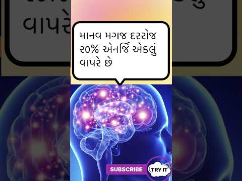 માનવ મગજ