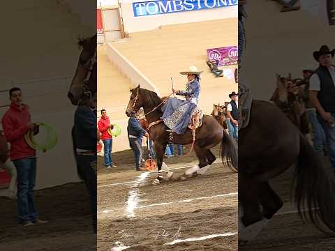 Cala Femenil En Don Lupe Vive 2024 Charreria Escaramuza 