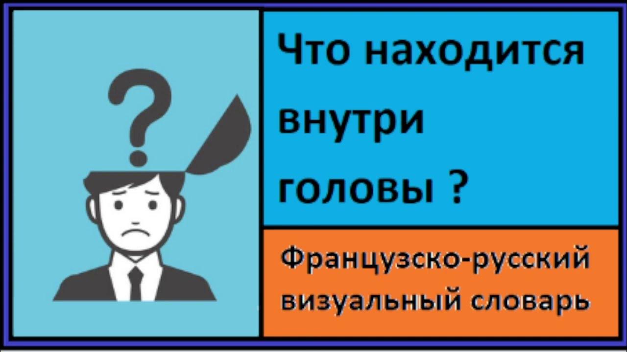 Что находится внутри головки Где находится мозга гранты