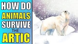 How Do Animals Survive in the Arctic ?
