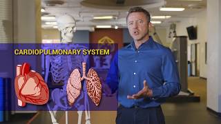 Tensegrity Physical Therapy - Heart & Lung Wellness / Cardiopulmonary System