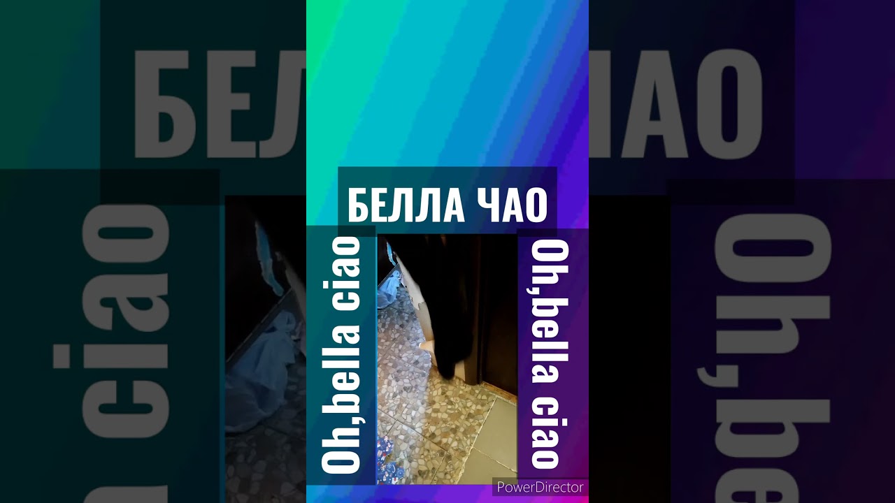 Коты прыгают и обдирают обои 😼🍓😼Oh,bella ciao. Белла чао Песня на ...