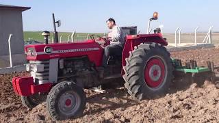 Mey Ferguson 168 Sesini Özleyenlere.... Fidan Arasına Kazayağı Çekimi.