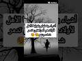 كلمات يقولها الأهل تدمر اولادهم 