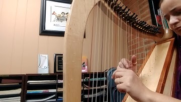 "Mad World" Harp Solo