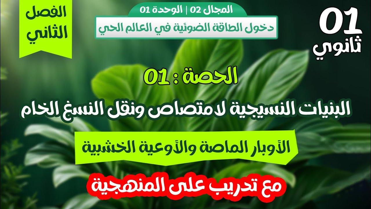 واخيرااا🔥 اولى ثانوي علمي|الاوبار الماصة والاوعية الخشبية× تدريب على  المنهجية 😎