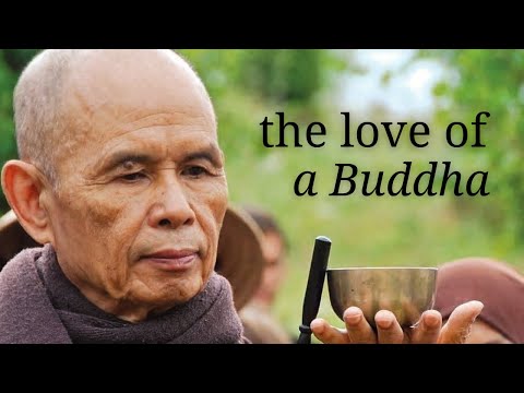 The Love of a Buddha | Teaching by Thich Nhat Hanh | #mindfulness