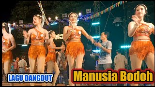 Manusia Bodoh - DANGDUT