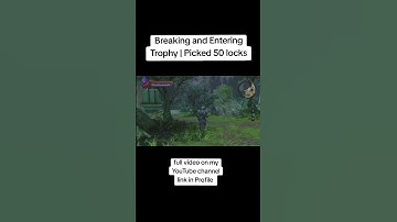 Breaking and Entering Trophy | Picked 50 locks | Kingdoms of Amalur: Re-Reckoning