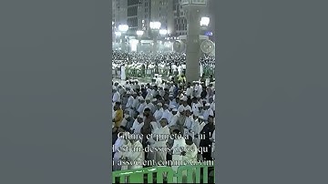تلاوة مباركة للشيخ: خالد المهنا حفظه الله ، من سورة الزمر.